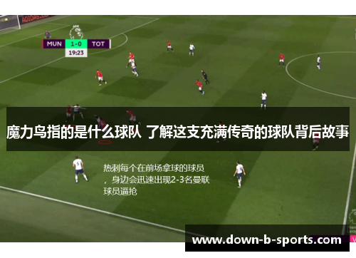 魔力鸟指的是什么球队 了解这支充满传奇的球队背后故事