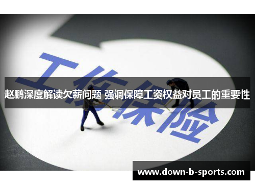 赵鹏深度解读欠薪问题 强调保障工资权益对员工的重要性